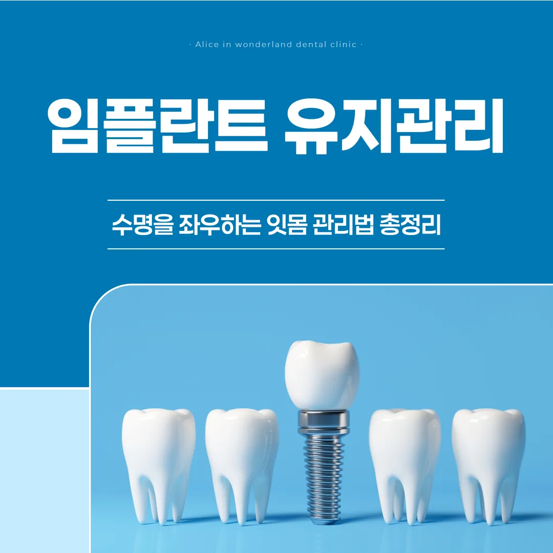 임플란트 유지관리, 수명을 좌우하는 잇몸 관리법 총정리