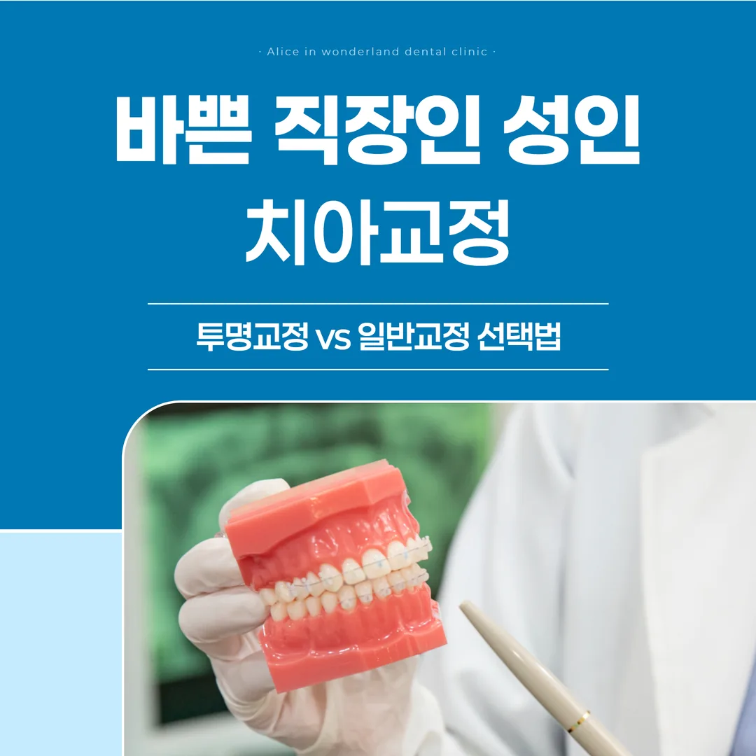 바쁜 직장인 성인 치아교정, 투명교정 vs 일반교정 선택법 (일요일 진료)