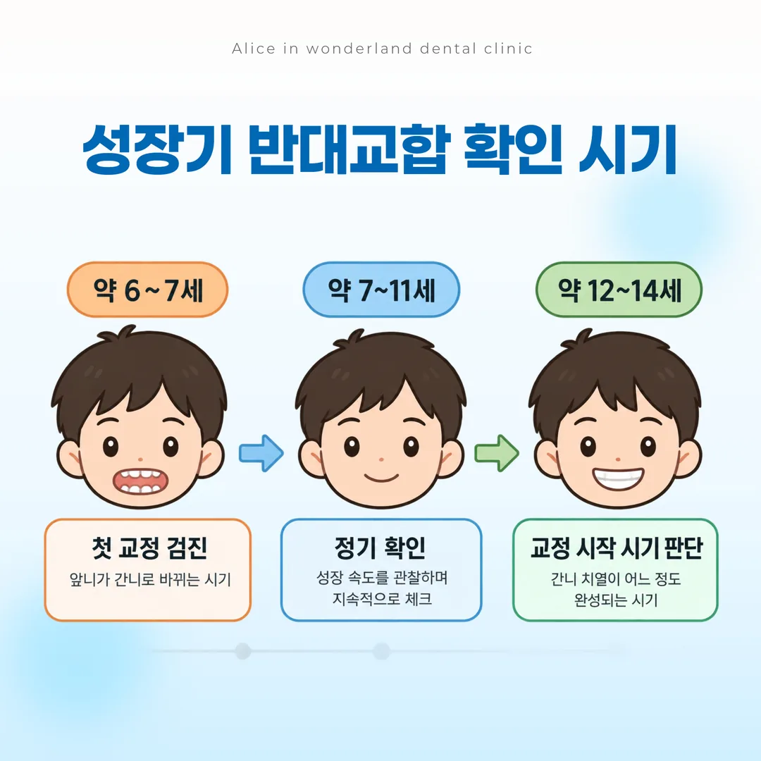 성장기 반대교합의 첫 검진과 정기 확인 시점을 나타낸 타임라인
