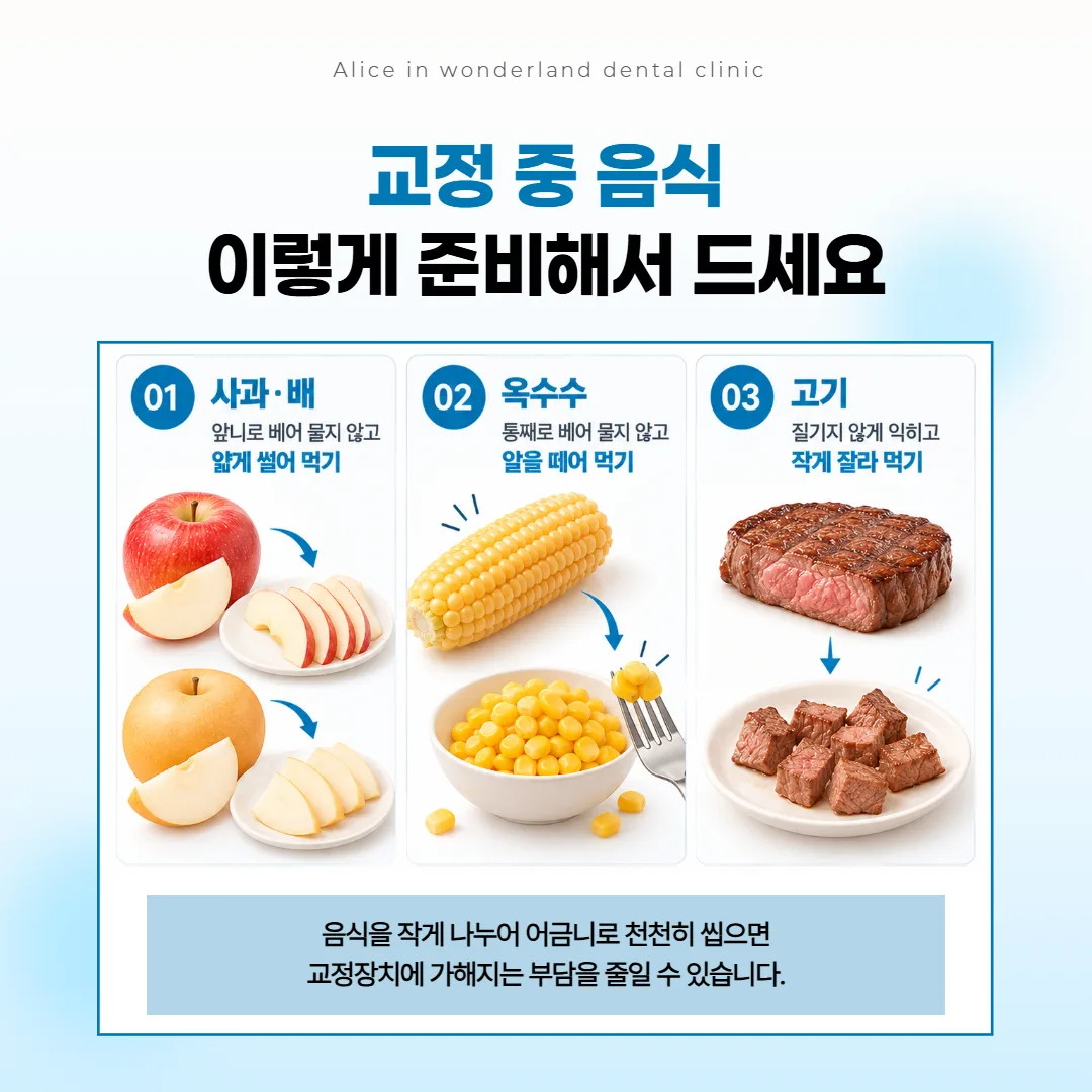 교정 중 사과와 옥수수, 고기를 작게 잘라 어금니로 씹는 방법 그림