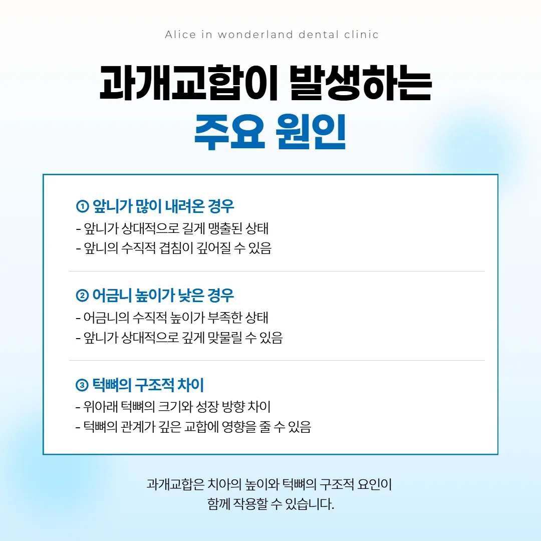 앞니가 깊게 겹치게 되는 치아 높이와 턱뼈 크기 요인을 세 칸으로 정리한 그림