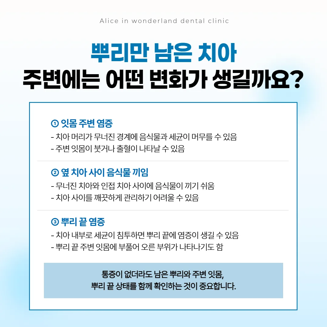 뿌리만 남은 치아 둘레 잇몸과 옆 치아 사이, 뿌리 끝에서 생길 수 있는 변화를 표시한 단면 그림