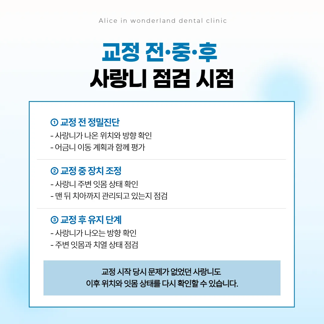 교정 전, 교정 중, 교정 뒤에 사랑니를 다시 살피는 시점을 세 칸으로 이은 흐름 그림