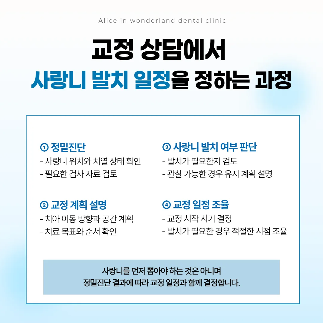 교정 상담에서 사랑니 판단과 교정 일정을 맞추는 네 단계 흐름 그림
