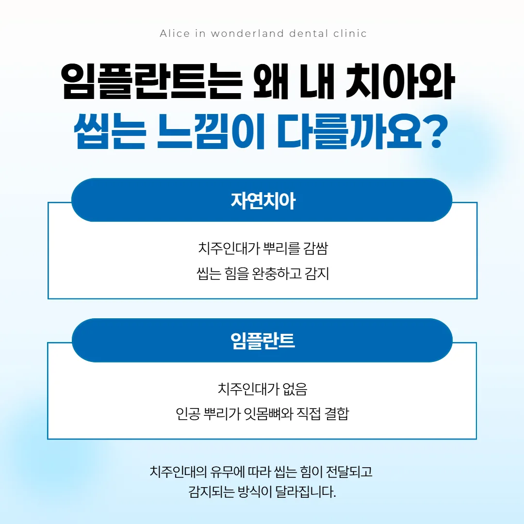 자연 치아의 치주인대를 용수철로 빗대고, 그런 막 없이 뼈와 맞닿은 임플란트를 견준 단면 그림